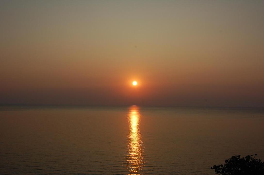 전망