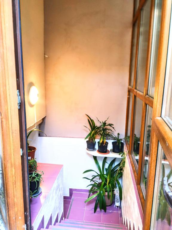 Central Guesthouse photo