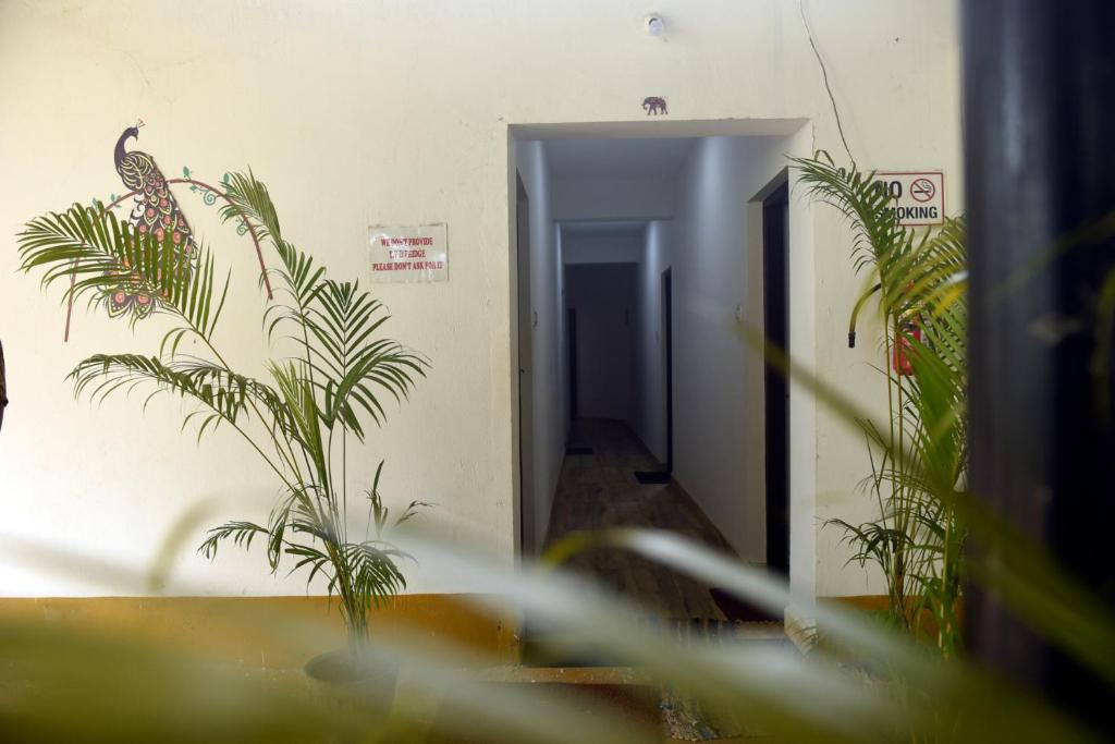 Maria Guest House photo