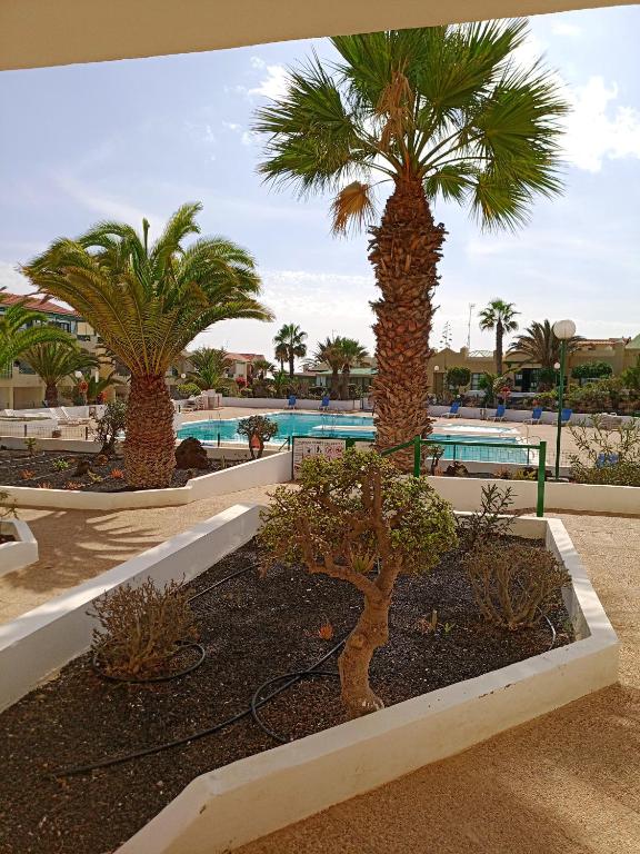 Las Torres Del Castillo-120 Palms, Costa de Antigua