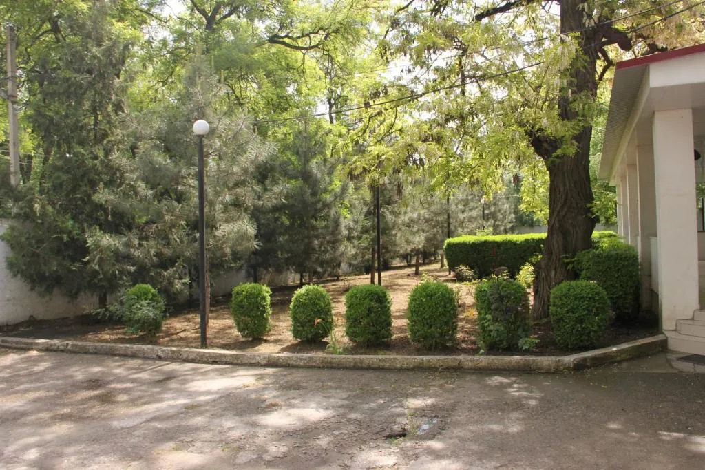 Premium Hotel, hotel in Izmail