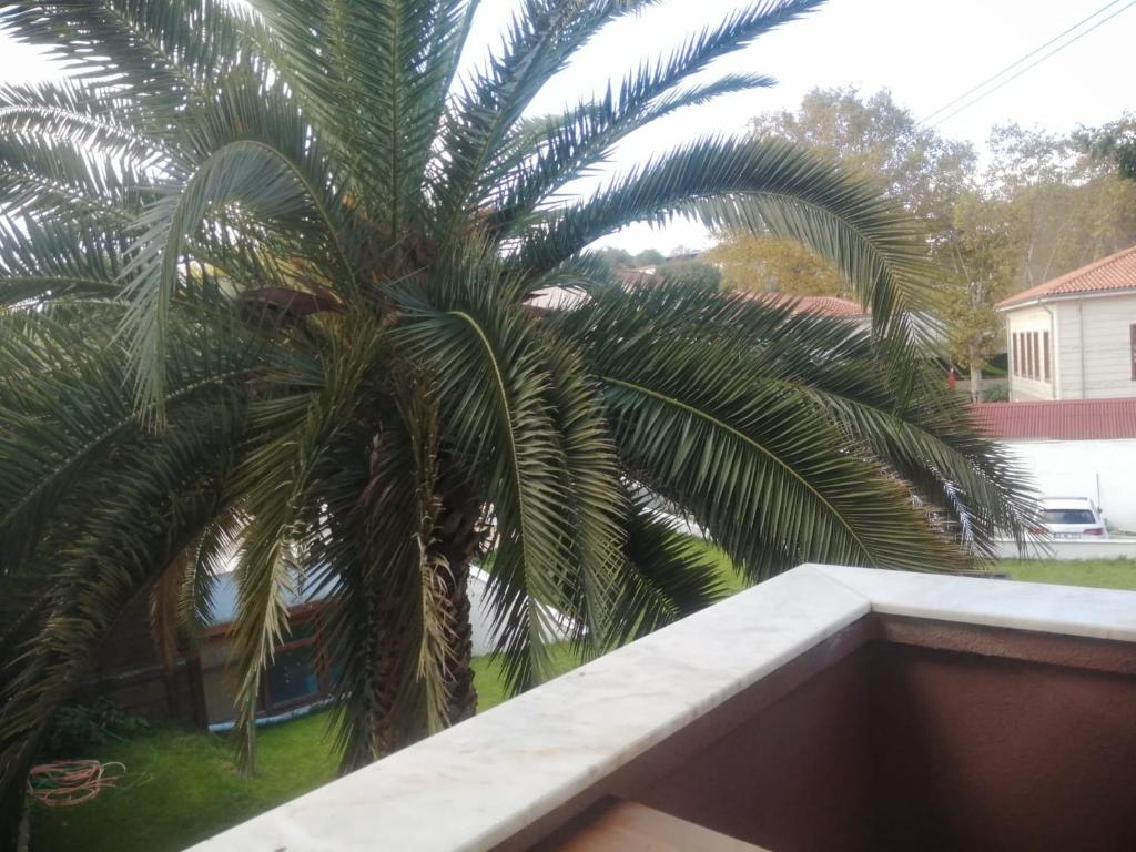 Park Beylerbeyi Boutique Hotel photo