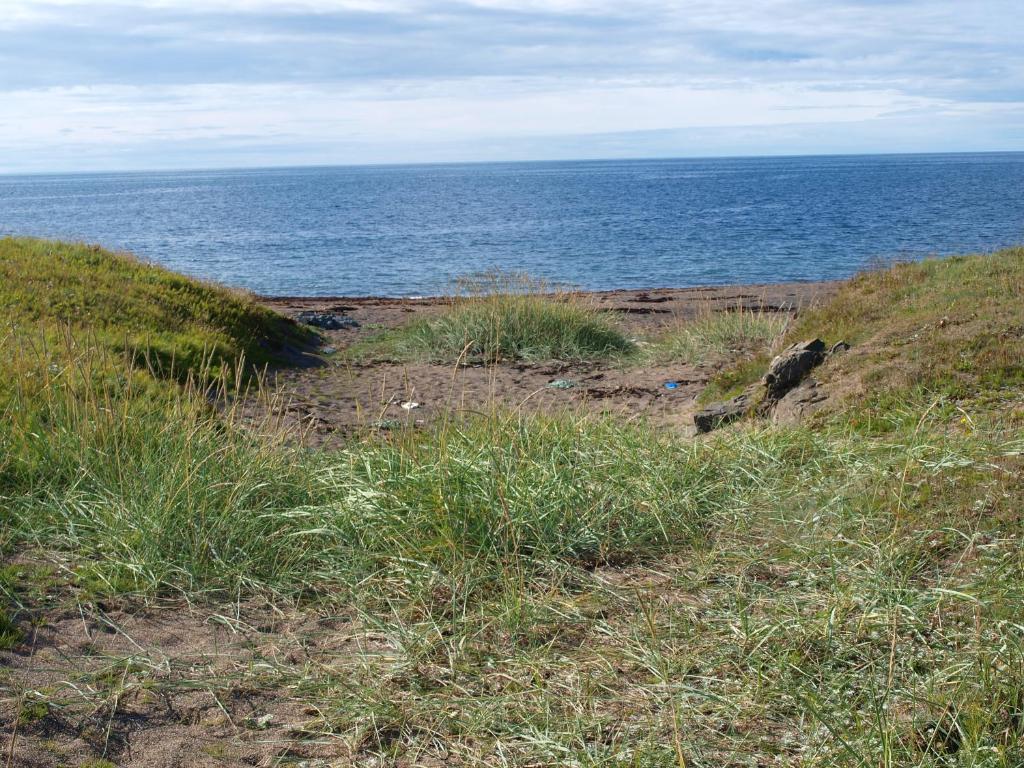 Surrounding environment