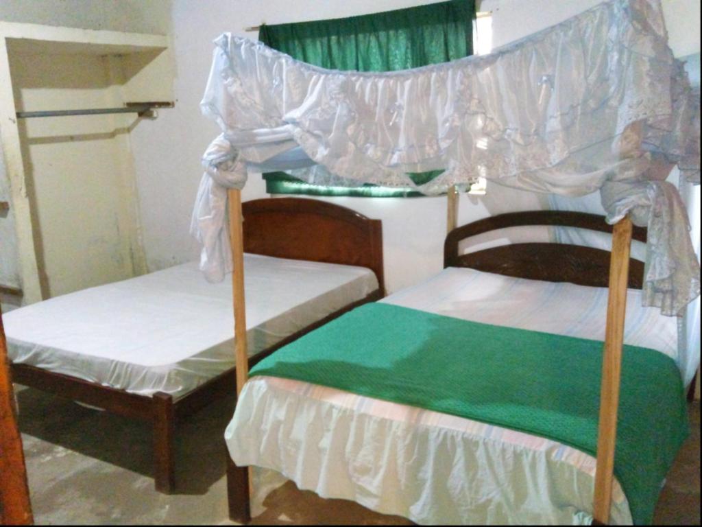 Agroturismo Voluntariado Bellavista - 1