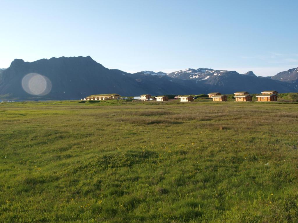 Surrounding environment
