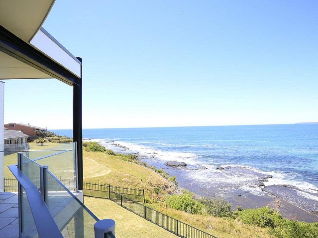Albatross photo