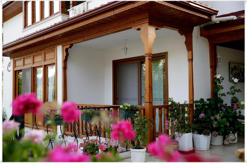 Ayka Hotel photo