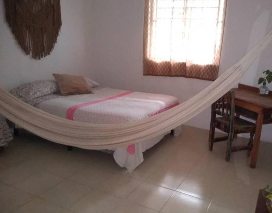 Purity of Intention — Hotel in Bacalar