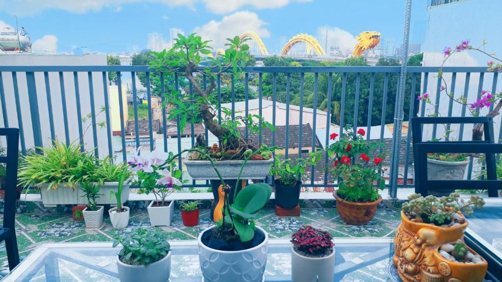 Sena home 4th-Rooftop Overlooking Danang Dragon bridge photo