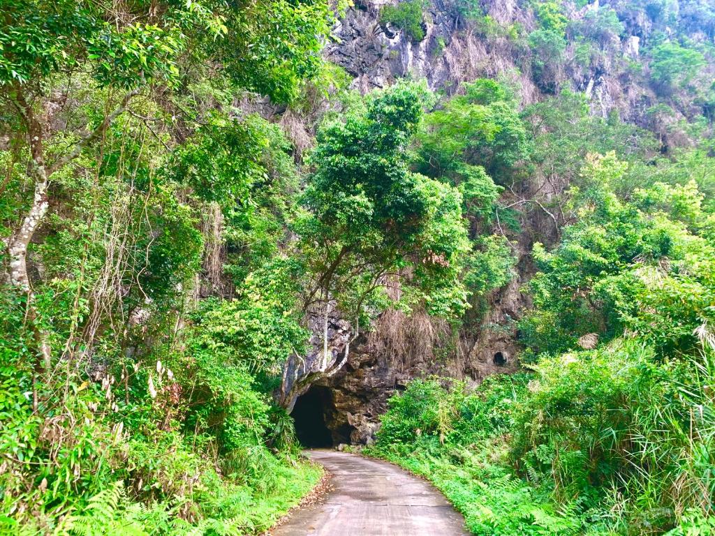 Surrounding environment