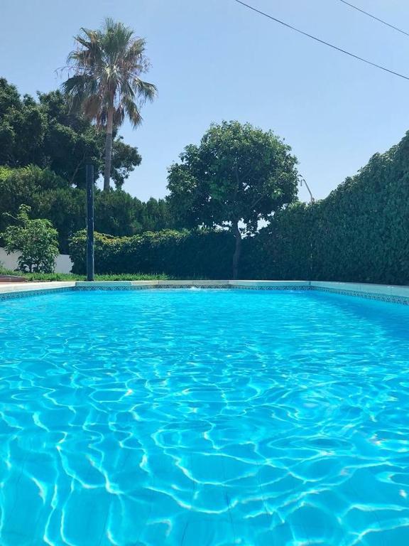 Villa with a big garden and heated pool - 3
