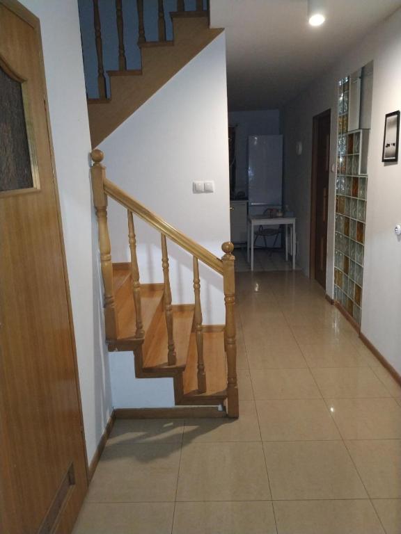 Ochota Forest Guest House photo