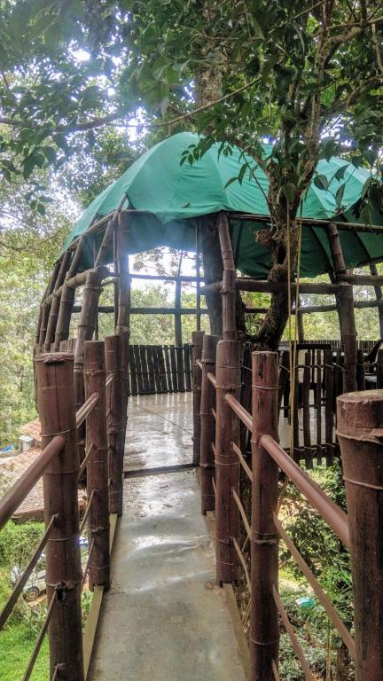 Tree Top Jungle Jive photo