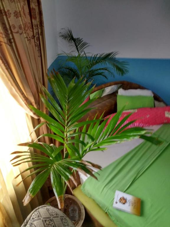 Elizz guest house photo