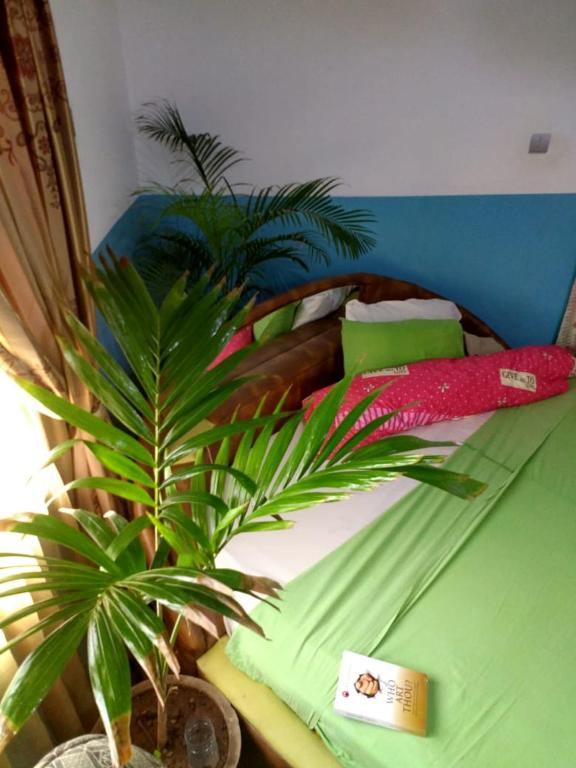 Elizz guest house photo