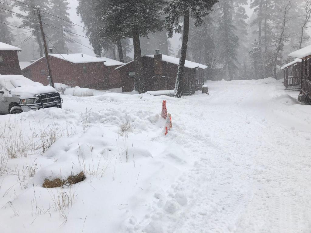 The Cabins at Cloudcroft photo
