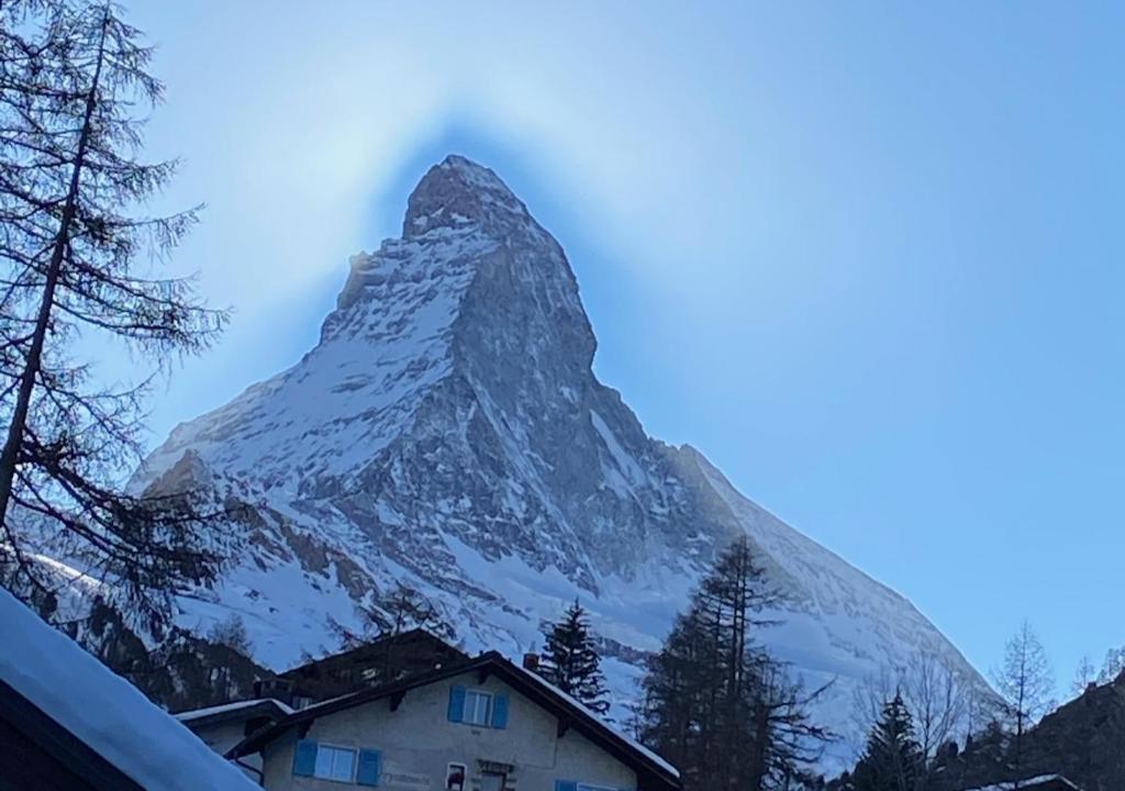 Chalet Petit - 4