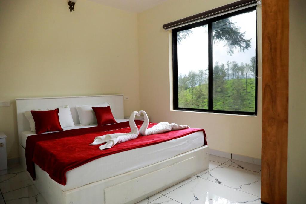 Ảnh 2