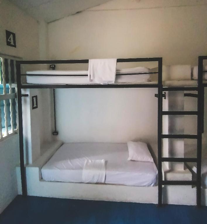 Media Luna Hostel Cartagena photo