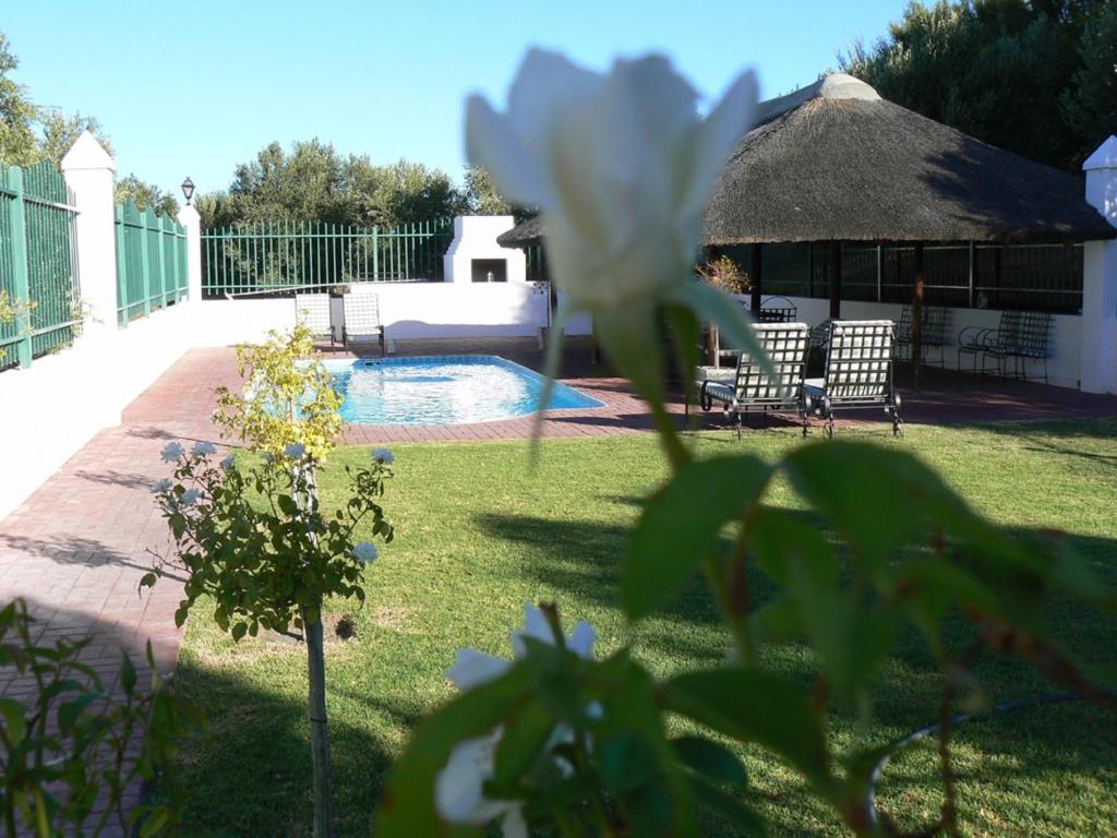 Olive Grove Guest Farm photo