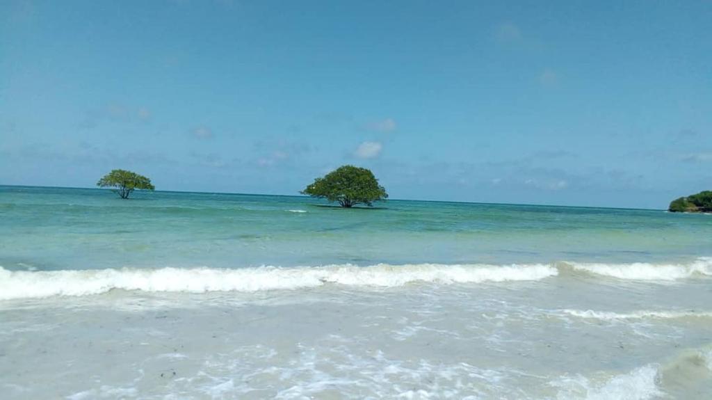 L&J Modern Backpackers Kigamboni Beach House photo
