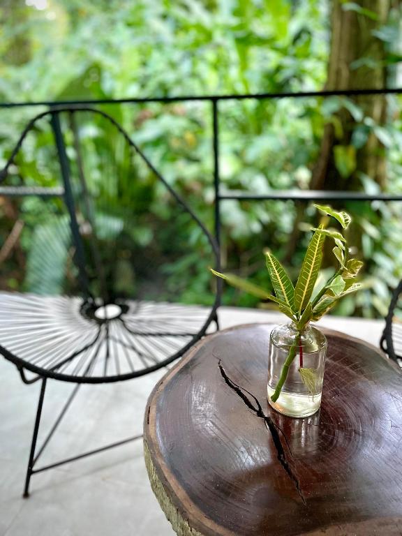 Casa Eden - Modern Peaceful Jungle Apartments photo