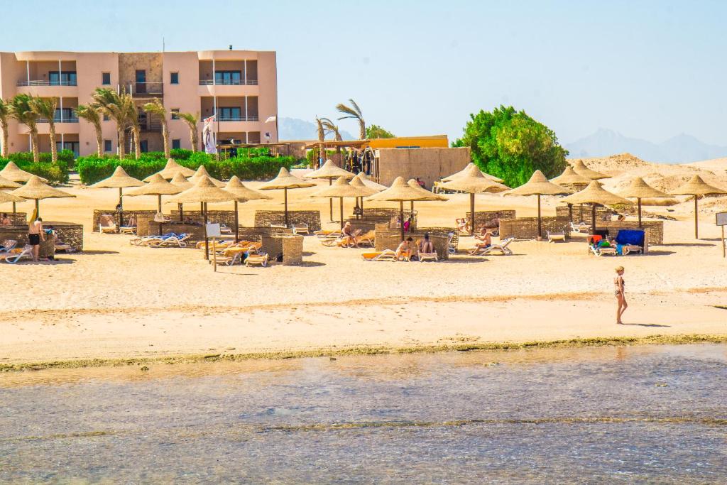 Viva Blue Resort and Diving Sharm El Naga (Adults Only) — Beach in Soma Bay, Red Sea