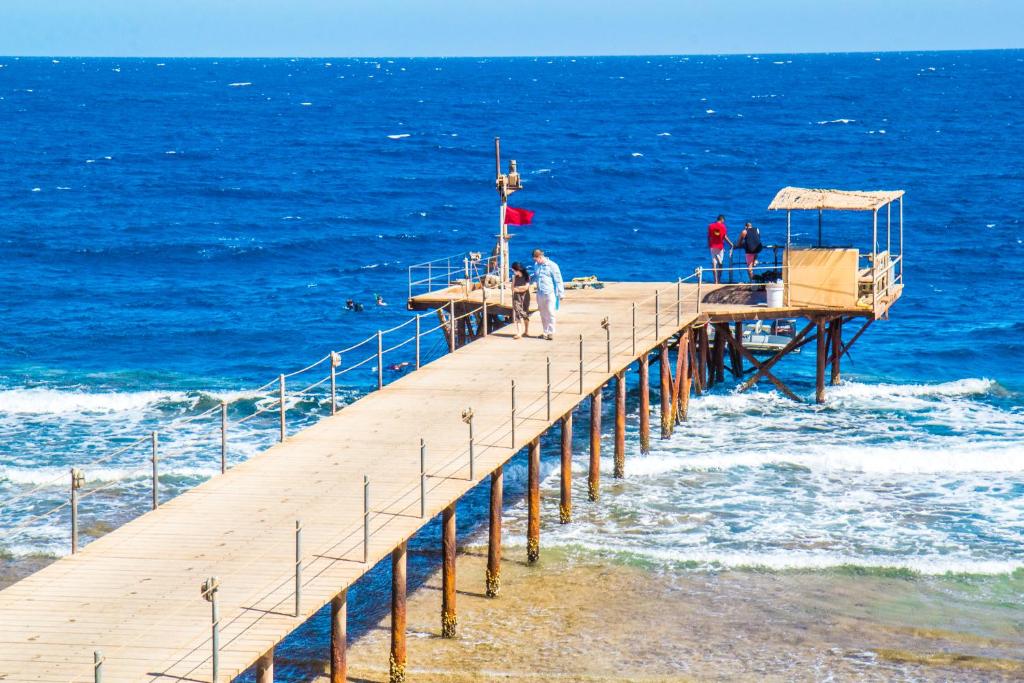 Viva Blue Resort and Diving Sharm El Naga (Adults Only) — Beach in Soma Bay, Red Sea