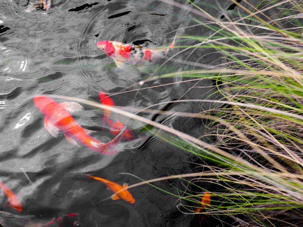 Surrounding environment