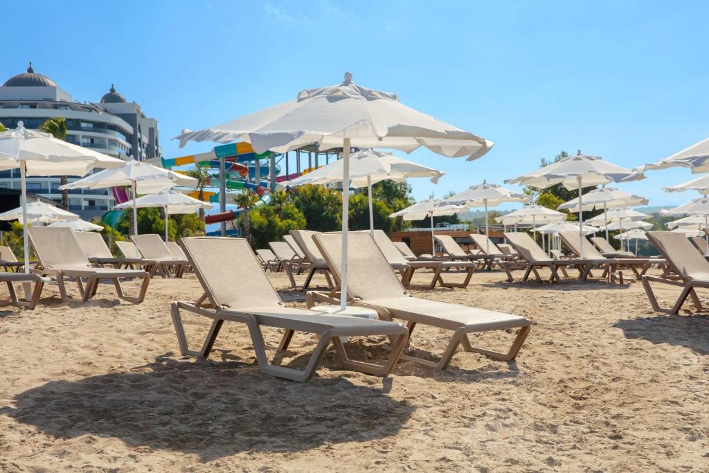 Alarcha Hotels & Resort - Ultra All Inc photo