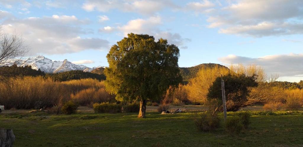 Cabaña de CAMPO Altos del Futaleufu sobre COSTA DE RÍO - 4