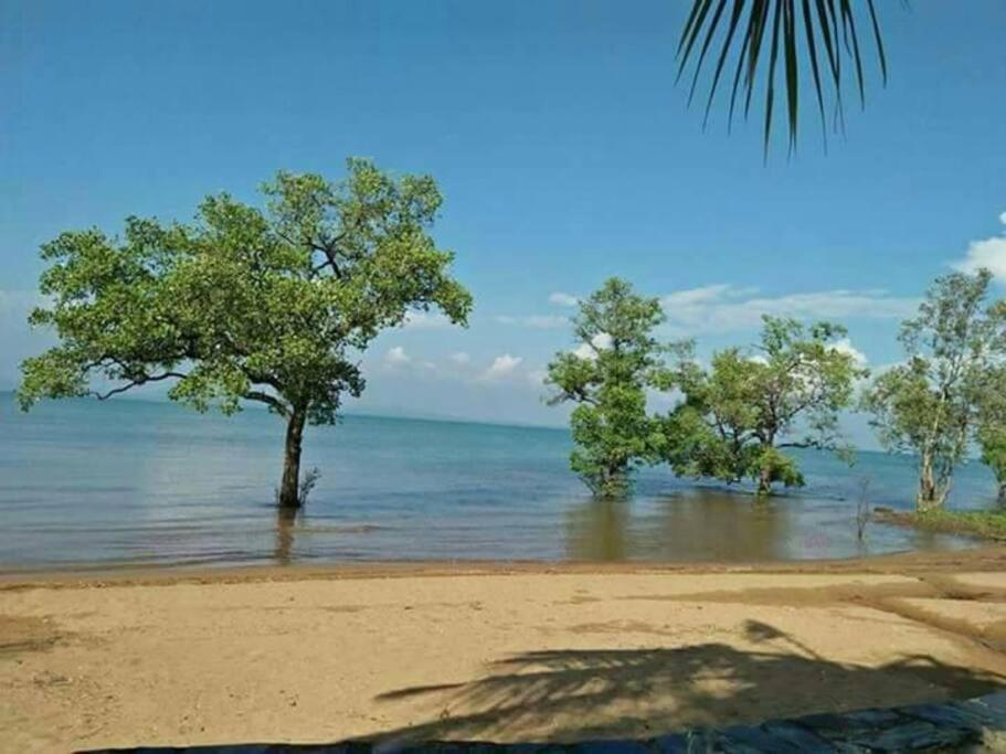 Seabreeze Cottage photo