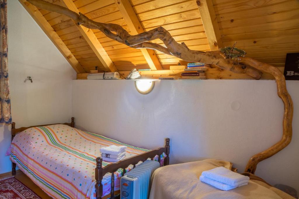 House Jaksic photo