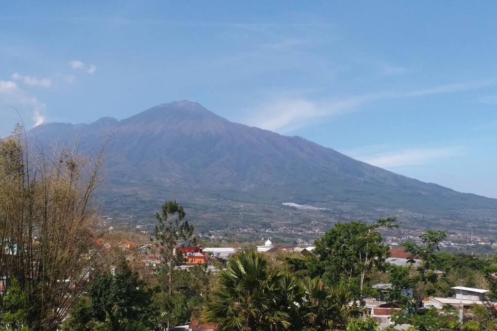 Villa Two One exotic private pool di Batu