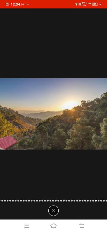 3 BHk Serviced Apartment I Lawn I Roof top I Kasauli By Exotic Stays photo