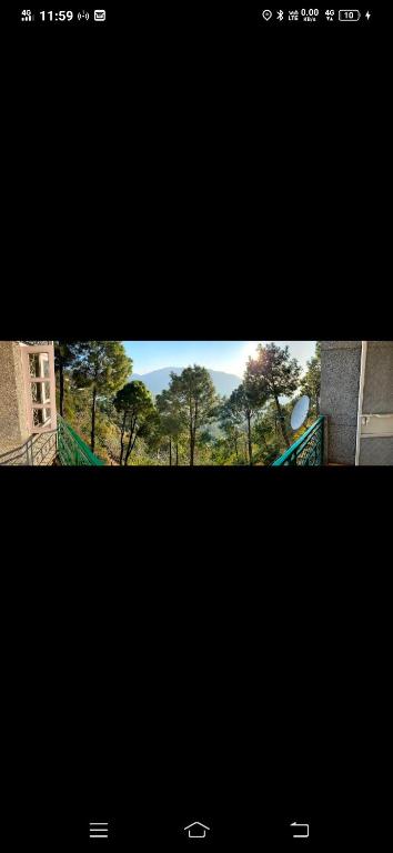 3 BHk Serviced Apartment I Lawn I Roof top I Kasauli By Exotic Stays photo