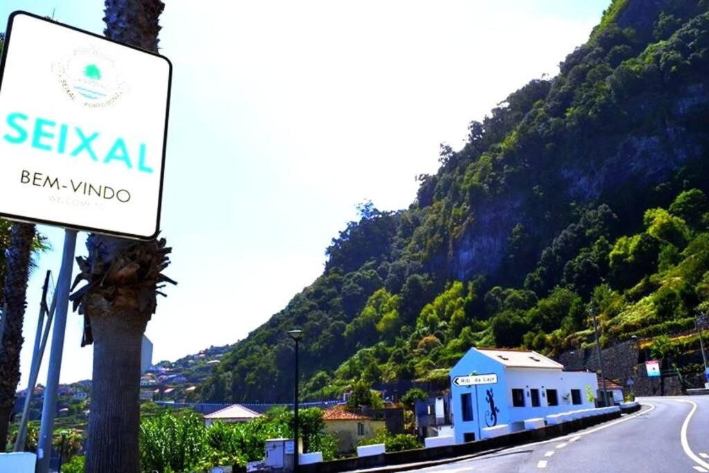 Lazy Lizard Studio, Seixal