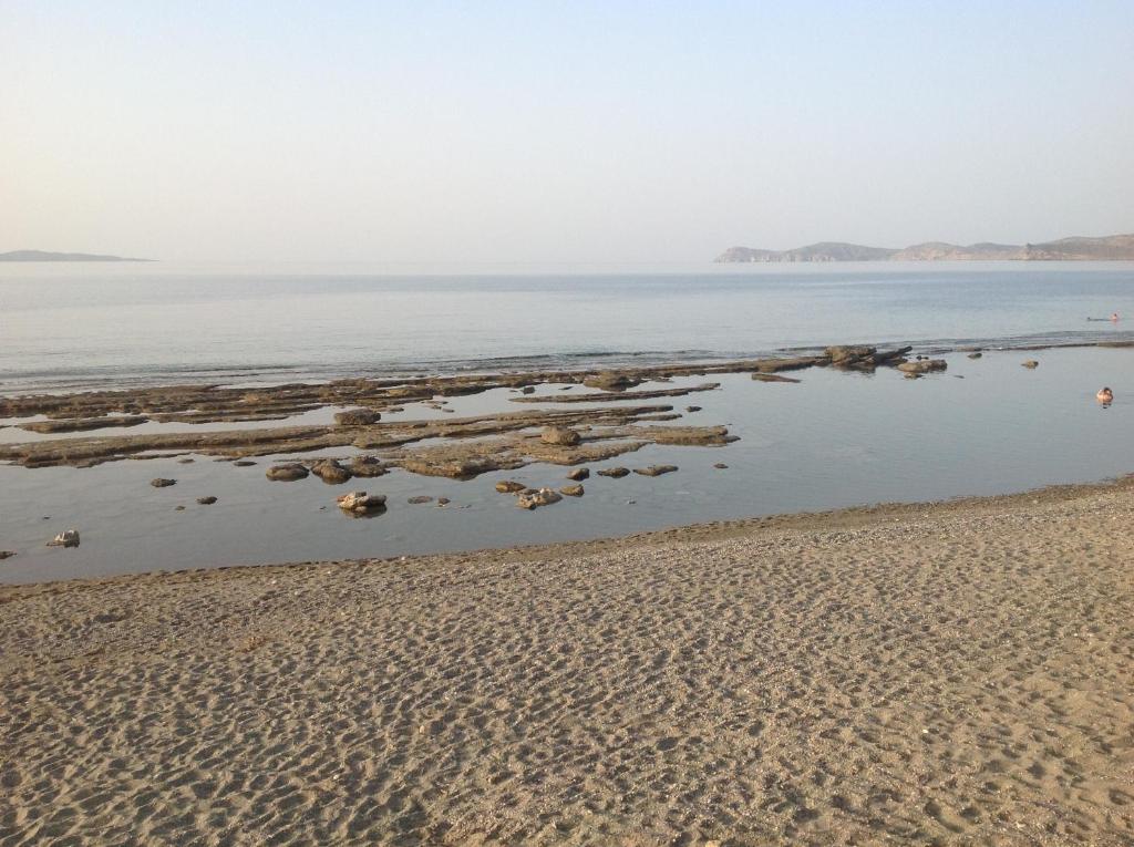 Hotel Petras Beach photo