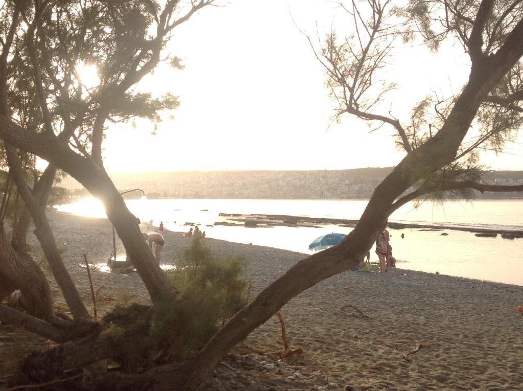 Hotel Petras Beach photo