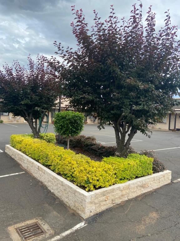 All Seasons Motor Lodge photo