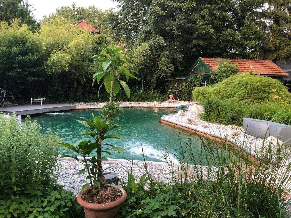 Haus mit Sauna und privatem Badeteich in Anif bei Salzburg - 2