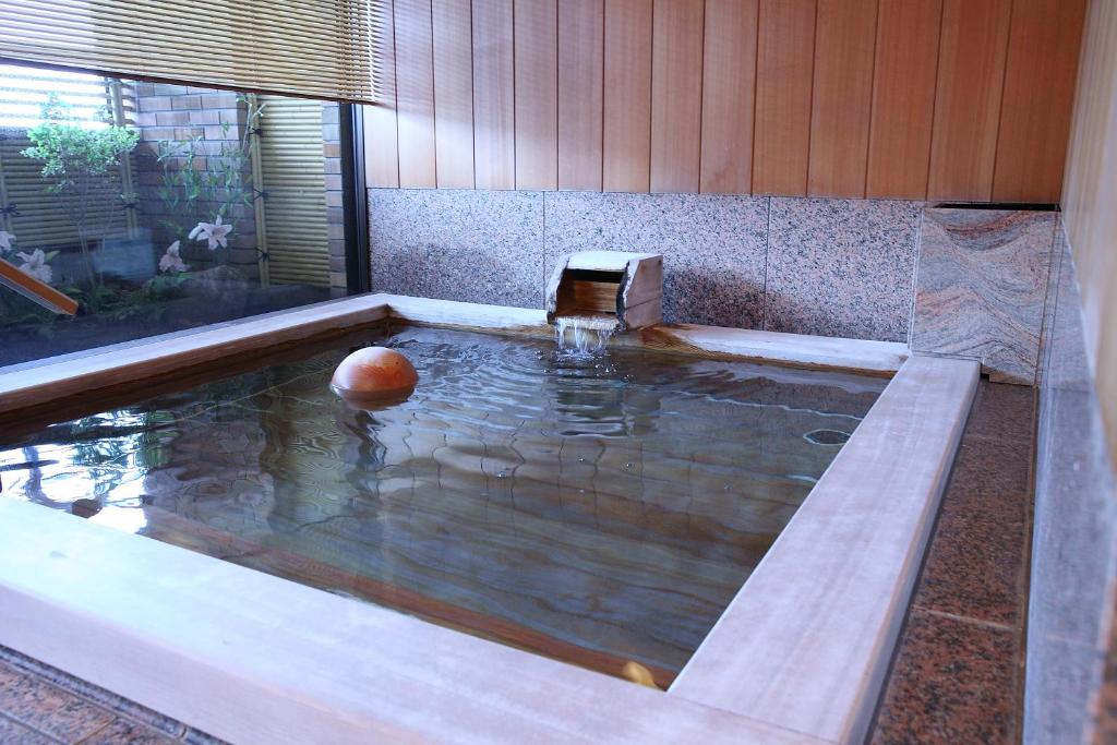 Hot spring bath
