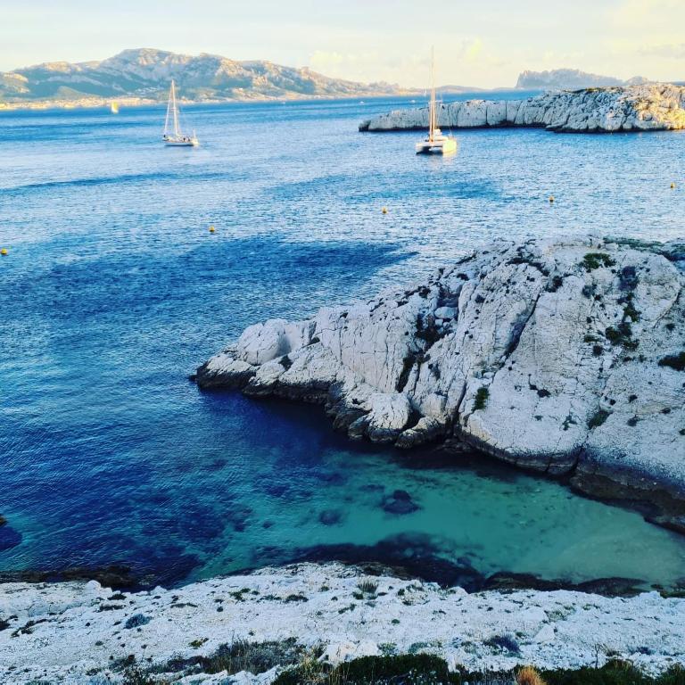 アクティビティ