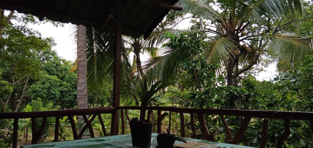 Sigiri Panaromic Tree House photo