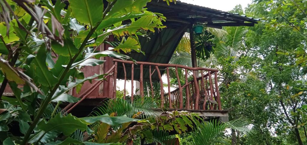 Sigiri Panaromic Tree House — Hotel in Sigiriya