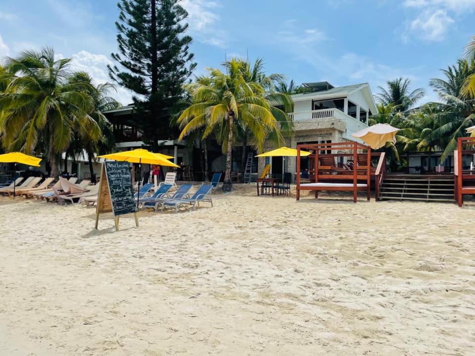 Coconut Tree West Bay photo