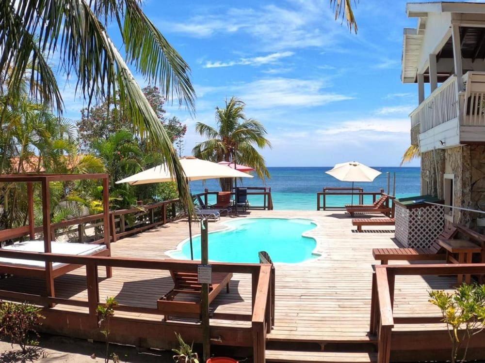 Coconut Tree West Bay photo