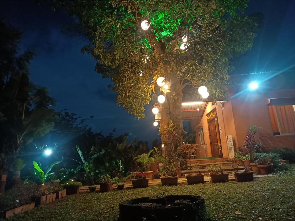 Berries Villa Mahabaleshwar photo
