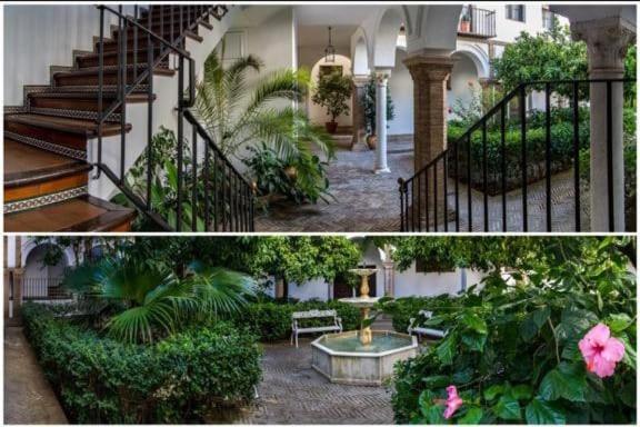 Apartamento en un dormitorio en Plaza Alfaro - 5