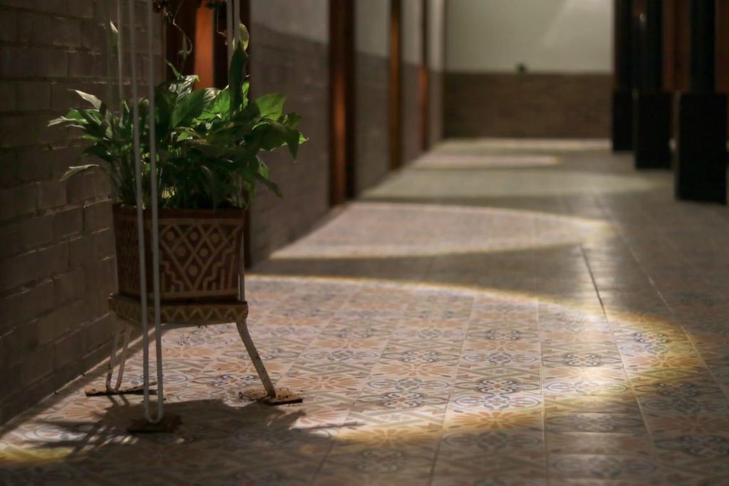 Camellón de la Ferrería - 4